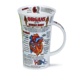 Dunoon-Glencoe Shape Mug-Organs of the Human Body